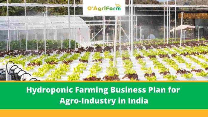 Hydroponic Farming Business Plan for Agro-Industry in India, agro products company,
