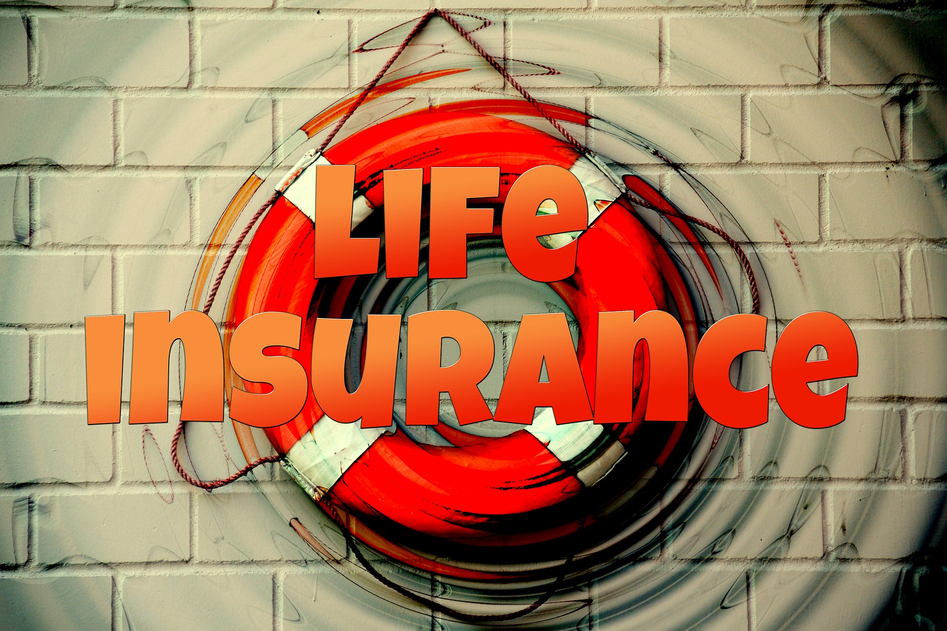 life insurance expert