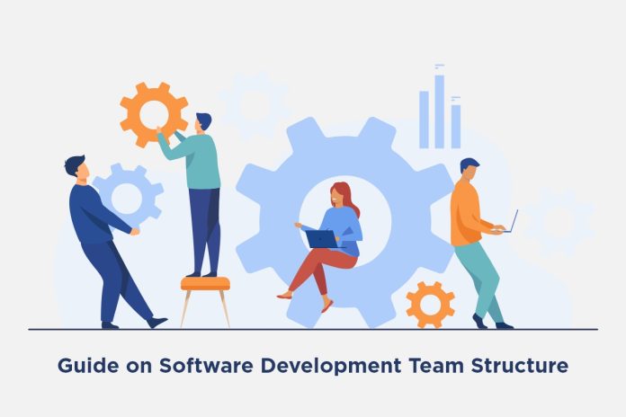 guide on software development team structure